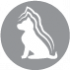 CLUB 4 PAWS PREMIUM VISU SUGU KUCĒNIEM “AR AUGSTU VISTAS SATURU”. PILNVĒRTĪGA SAUSĀ BARĪBA