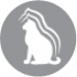 CLUB 4 PAWS PREMIUM KAĶĒNIEM "AR VISTAS GAĻU MĒRCĒ". PILNVĒRTĪGA MITRĀ BARĪBA