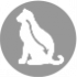 CLUB 4 PAWS PREMIUM “AR SPALVU KAMOLU IZVADĪŠANAS EFEKTU”. PILNVĒRTĪGA SAUSĀ BARĪBA PIEAU- GUŠIEM KAĶIEM